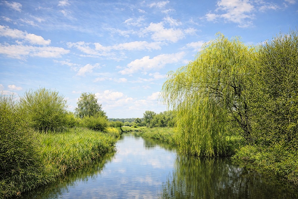 Wonen
waar
de
Dommel
het tempo
bepaalt